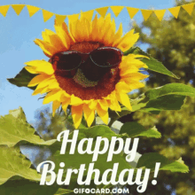 Happy Birthday Sunflower GIF - Happy Birthday Sunflower Smile GIFs