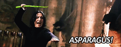 Severus Snape Memes GIFs | Tenor