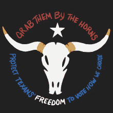 Grab Them By The Horns Protect Texans Freedom To Vote GIF - Grab Them By The Horns Protect Texans Freedom To Vote Vote How We Choose GIFs