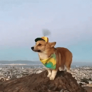 Very Windy Funny GIF - VeryWindy Funny - Discover & Share GIFs