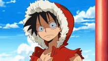 monkey d luffy from one piece is wearing a red jacket and a furry hood