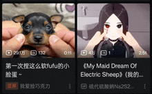 a video of a dog and a video of a girl with red eyes
