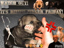 Biting Finger GIF - Biting Finger Friday GIFs