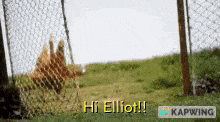 Hi Elliot Chicken Wave GIF