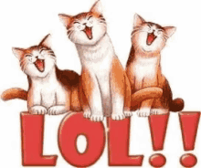 Cats Laughing GIF