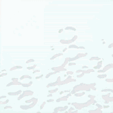 a cartoon of spongebob and patrick surrounded by bubbles on a blue background