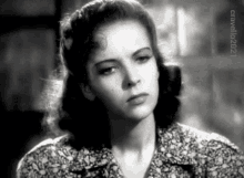 yeah i get it ida lupino i understand i understand you i understand that reference