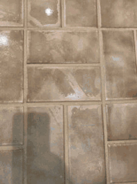 Carpet Cleaners Lansing Mi Air Duct Cleaning Gif Diser Share Gifs