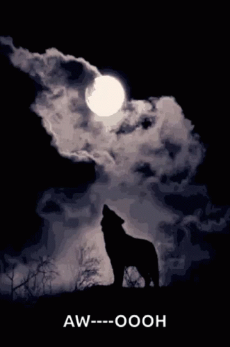 Howling Wolf Full Moon GIF – Howling Wolf Full Moon Cloudy – discover ...