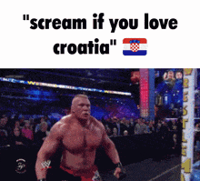 Croatia Screaming GIF - Croatia Screaming Scream GIFs