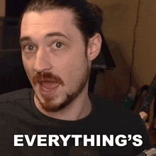 a man with a beard and mustache says " everything 's " in front of a microphone