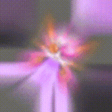 a close up of a purple flower with a green background