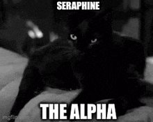 Seraphine Noir Hello Seraphine Noir GIF - Seraphine Noir Hello Seraphine Noir Seraphine GIFs