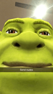 Send Shrek GIF - Send Shrek GIFs