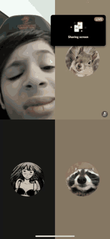 a screenshot of a video call with a squirrel a raccoon and a girl