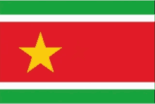 Flags Frenh Guiana Flag GIF - Flags Frenh Guiana Flag Martinique Flag GIFs