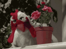 Muppet Show Gonzo GIF
