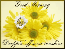 Sunflower Droppin Off Some Sunshine GIF - Sunflower Droppin Off Some Sunshine Good Morning GIFs