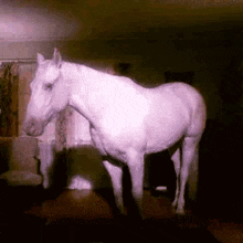 Bye Horse GIF - Bye Horse Disappear GIFs