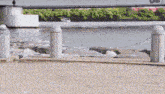a bridge over a body of water with a boat in the water