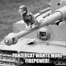 Panzer Cat Wants More Firepower GIF