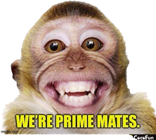 a monkey with its mouth open and the words we 're prime mates