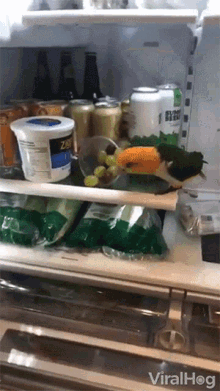 Bird Throws Food On Ground Throwing Grapes To Floor GIF - Bird Throws Food On Ground Throwing Grapes To Floor Bad Bird GIFs