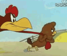 Chickenhawk Cartoon GIFs | Tenor