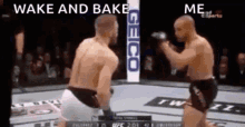 Funny As Hell Ufc GIF - Funny As Hell Ufc Conor Mcgregor GIFs