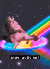 a picture of a cat and a pig with the words " stay with me " on the bottom