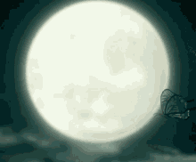 Shinobu Kocho GIF - Shinobu Kocho Moon GIFs