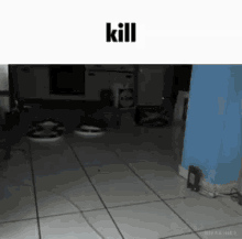 kill cat