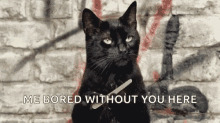 Tell Me More Salem GIF - Tell Me More Salem Cat GIFs
