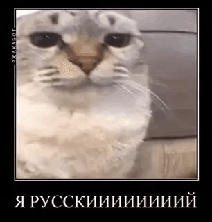 Tenor - 