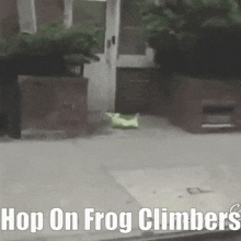 Hop On Frog Climbers GIF - Hop On Frog Climbers Video Games GIFs