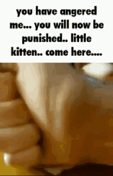 Discord Kitten Discord Mod GIF - Discord Kitten Discord Mod Angered GIFs