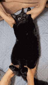 a black cat is laying on its back on a blanket