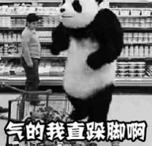 生气，跺脚，熊猫 GIF