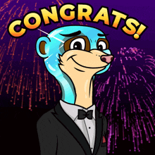 Congrats Congratulations GIF - Congrats Congratulations Congrats Meerkat GIFs