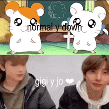 two hamsters are standing next to each other in front of a blackboard with the words normal y down written on it .