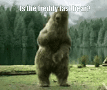Fast Freddy GIF - Fast Freddy Bear GIFs