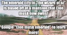 Wizar Emerald GIF - Wizar Emerald Elon M GIFs