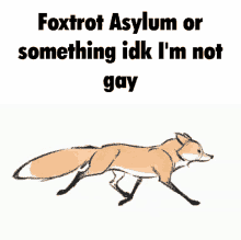 Foxtrot Foxtrot Asylum GIF - Foxtrot Foxtrot Asylum Roblox GIFs