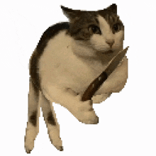 a pixelated cat is holding a stick in its mouth