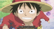 luffy who the hell are you one piece angry mad