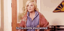 Parks And Rec Leslie Knope GIF - Parks And Rec Leslie Knope GIFs