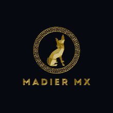Madier Madier Mx GIF - Madier Madier Mx GIFs