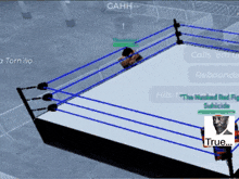 a computer screen shows a wrestling ring with a picture of a man and the words " true " on the bottom