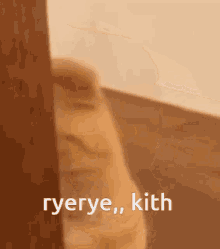 Ryekith Ryeryex GIF - Ryekith Ryeryex GIFs