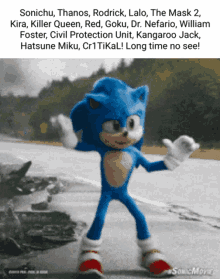 Sonic Sonichu GIF